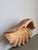 1960s Vintage Handmade Carved Wooden Seashell Bowl, 1960s For Sale - Image 5 of 13