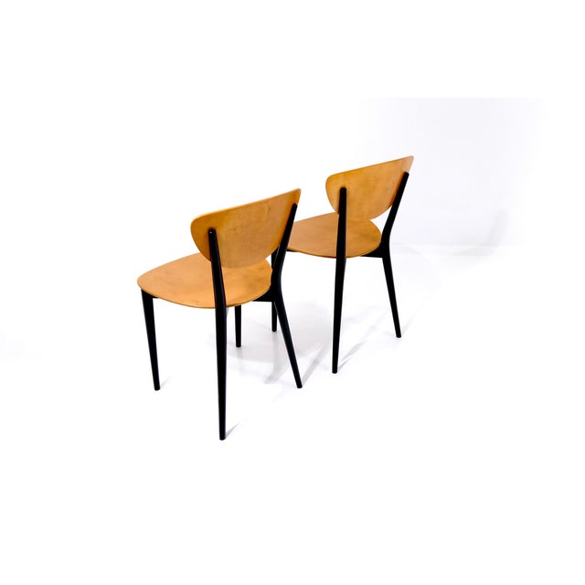 Wood Vintage Swiss Chairs by Kurt Thut, 1953, Set of 4 For Sale - Image 7 of 18