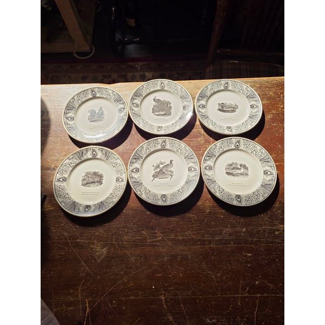 Six Bewick Bird Plates by Prinknash Abbey Pottery For Sale - Image 12 of 12