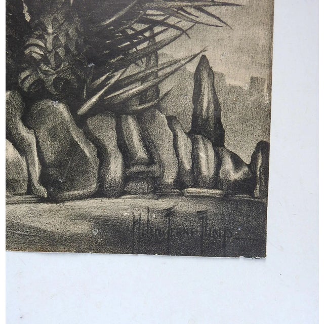 Vintage Mid 20th Century lithograph on paper "Flowering Yucca" by Helen Ferne Slimp (1890-1995) Texas. Unframed, corner...