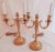 Louis XVI Bronze Dore Candelabras - a Pair For Sale - Image 4 of 4