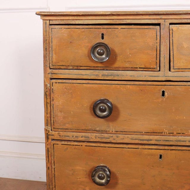 Narrow early 19th C original painted pine chest of drawers with line decoration . 1810 This piece is designed in the style...