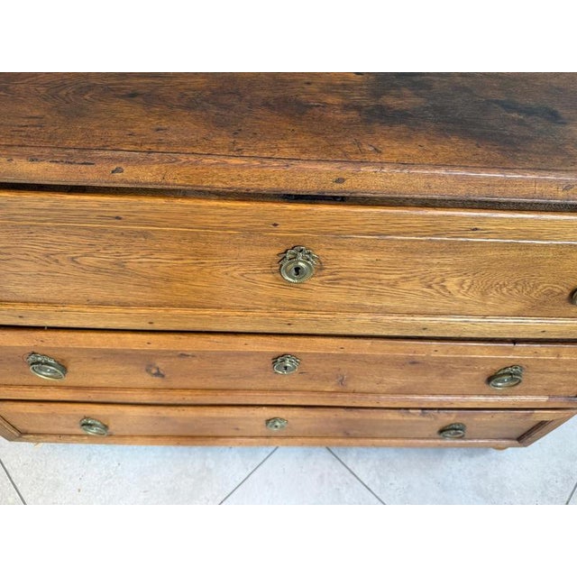 Baroque Chest of Drawers in Pine For Sale - Image 14 of 18
