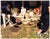 Tracey Baran (American, 1975-2008), Untitled (Front Porch), Chromogenic Print in Colors, 1998, wood frame. Image: 10.5" H...