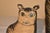 Set of Three Hand Painted Canvas Carnival Cats, 20th Century For Sale - Image 10 of 10