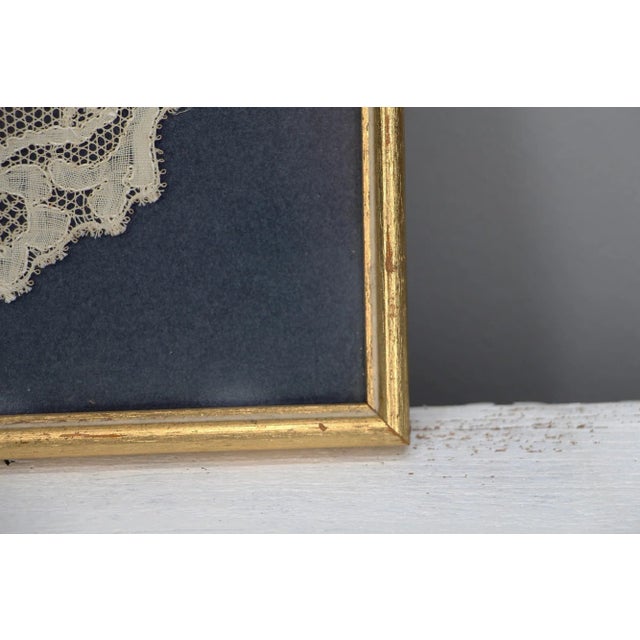 Deer, Lace, Flemish, Early 18th Century, Glass Framed For Sale - Image 10 of 13