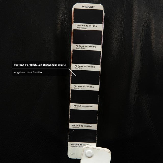 3100 Leather Chair from Rolf Benz For Sale - Image 13 of 18