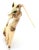 This authentic Tiffany & Co. cat brooch is crafted in 18k yellow gold, featuring a sleek sculptural feline form with...