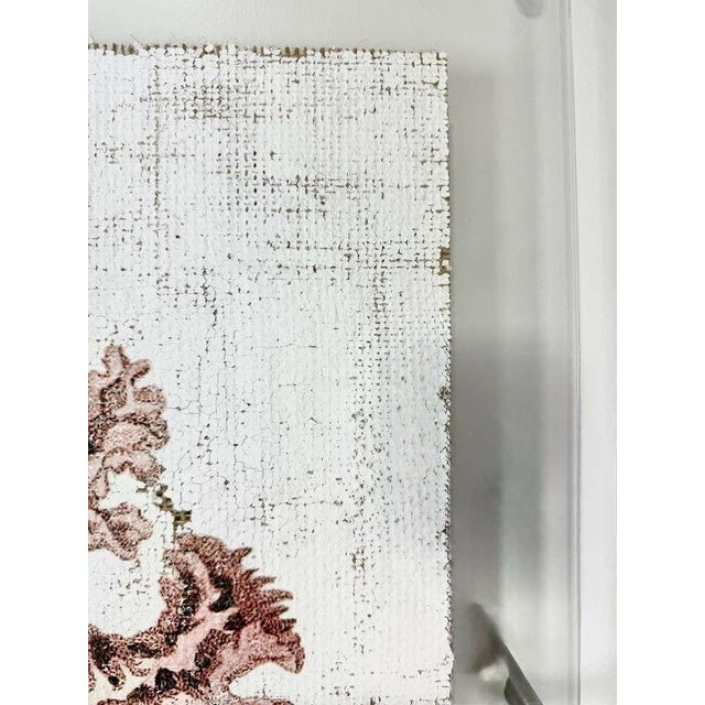 Lace Murex — Hand Textured Pink Seashell Art For Sale - Image 4 of 9