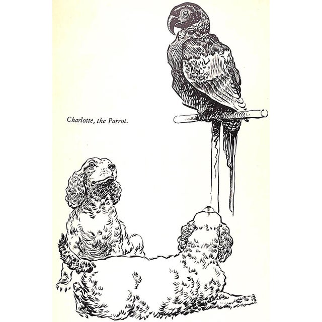 "Jock: The King's Pony With Original Cover Artwork by Paul Brown" 1936 Rowland Johns For Sale - Image 12 of 12