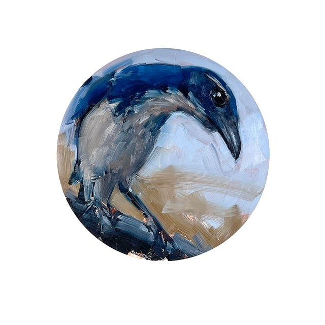 Contemporary Food Today? by Calvin Lai | Oil on wood panel Bird perched on a surface with a blue background. For Sale - Image 3 of 3