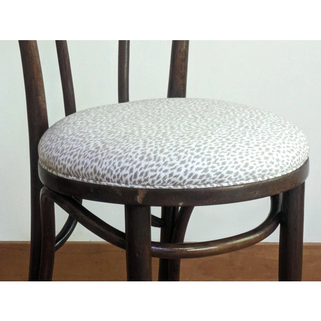 Bentwood Cafe Chair - Animal Print Fabric For Sale - Image 9 of 10