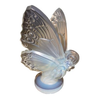 Sabino Opalescent Butterfly With Open Wings For Sale