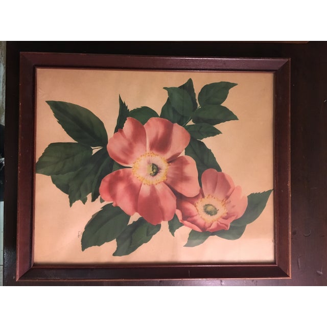 Vintage Framed Floral Prints A Pair Chairish