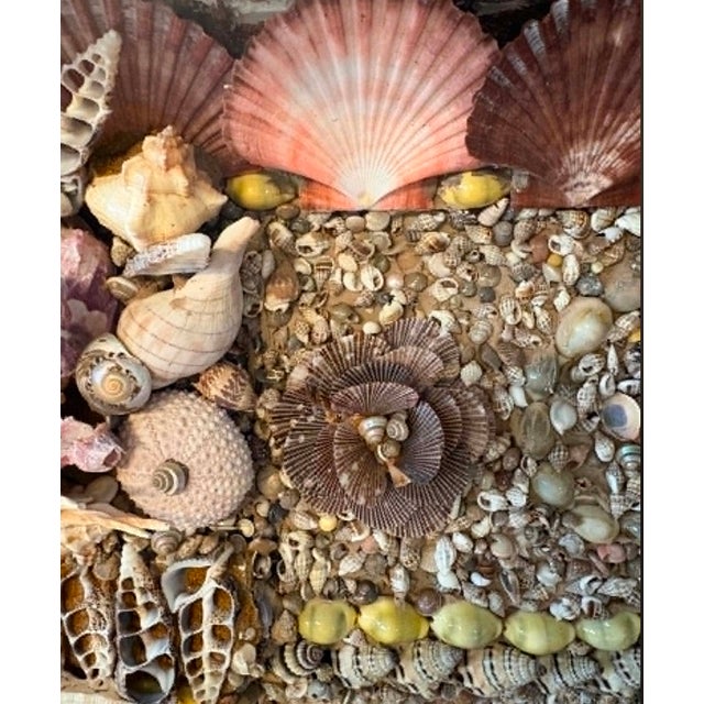 Seashell Encrusted Fireplace Surround and Mantel For Sale - Image 17 of 18