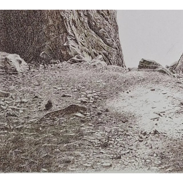 Early 21st Century Elzbieta Siegoczynska, Ravine, 2025, Ink on Paper For Sale - Image 5 of 6