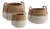 Seagrass Round Baskets With Handles, Set Of 3 For Sale