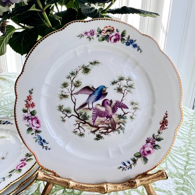 Traditional 1930s Set of 6 Sevres birds bread plates // Traditional decor // decorative fine china // hand decorated and signed by artist // mix and match For Sale - Image 3 of 10