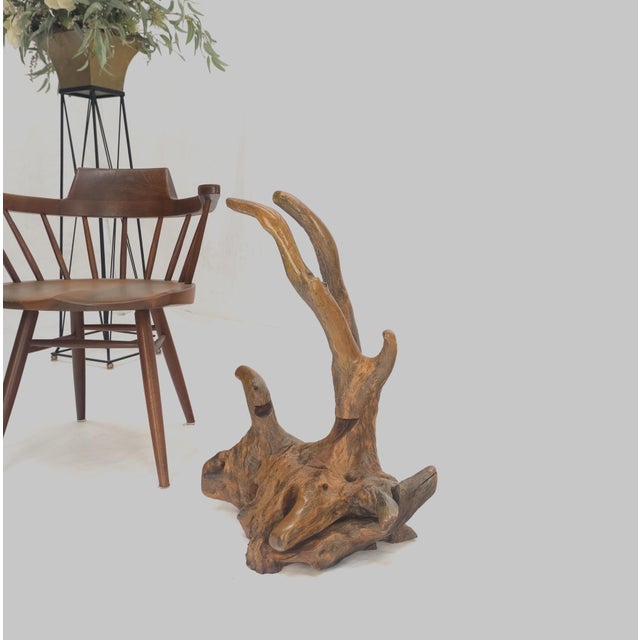 Large 25" Tall Artist Signed Driftwood Root Burl Wood Natural Sculpture For Sale - Image 12 of 12
