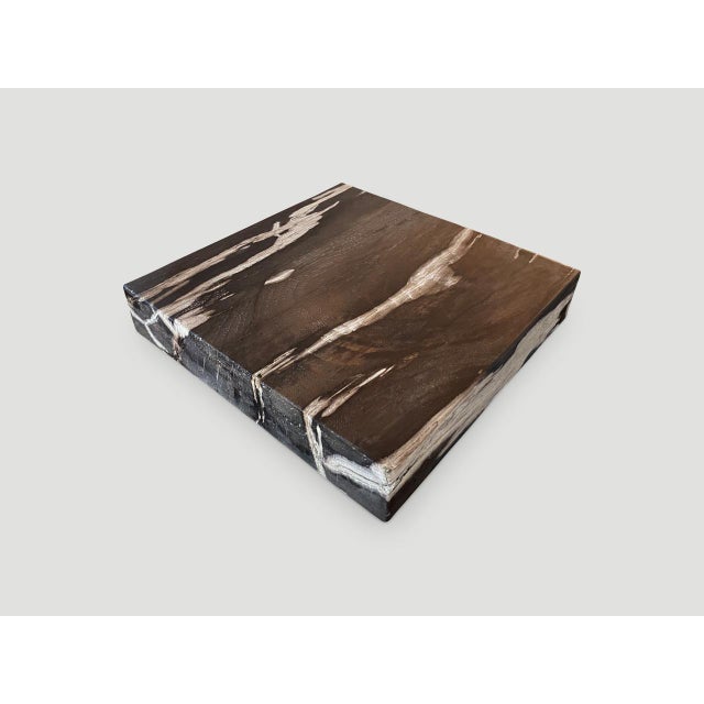 Contemporary Andrianna Shamaris Petrified Wood Slab For Sale - Image 3 of 6