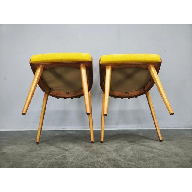 Mid-Century Modern Beech Dining Chairs from TON, Czechoslovakia, 1970s, Set of 4 For Sale - Image 4 of 16
