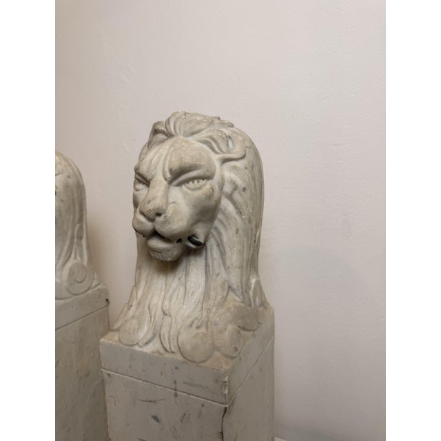 White Florentine Lions in White Carrara Marble, Late 19th Century, Set of 2 For Sale - Image 8 of 13