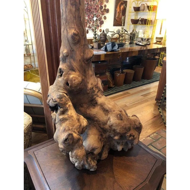 1960s Monumental Mid Century Driftwood Lamp For Sale - Image 10 of 13