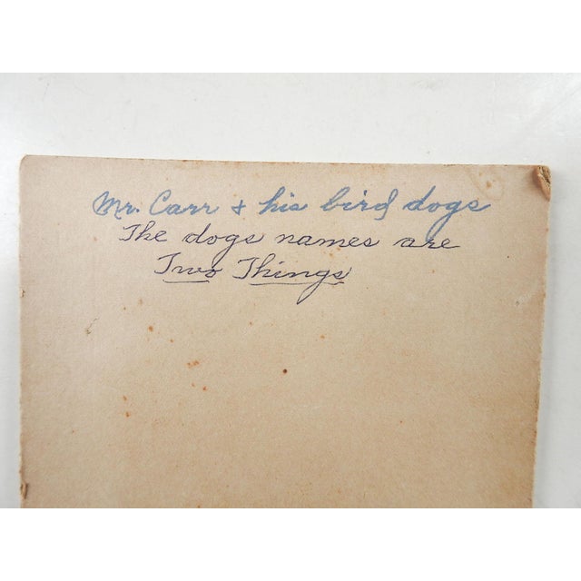 Vintage antique circa 1890 albumen photograph of handsome man with rifle and his 2 bird dogs named Two & Things. Standing...