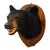 Vintage Black Bear Taxidermy Head Mount C1950 For Sale - Image 4 of 8