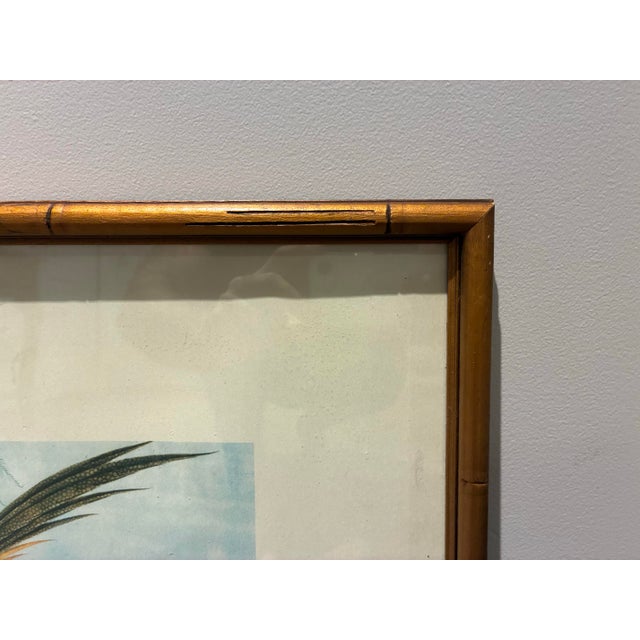 Chinese Vintage 1974 Chinese Pheasant Bird Botanical Print in Gilt Bamboo-Style Frame For Sale - Image 3 of 8