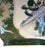 Vintage Chinese Chinoiserie Hand Painted Famille Rose Cachepot / Cache Pot / Jardinere/ Fishbowl Planter With Peacock Motif and Moriage Beading For Sale - Image 9 of 11