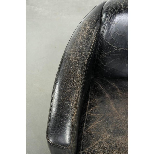 Animal Skin Vintage Club Chair in Cowhide Leather For Sale - Image 7 of 13