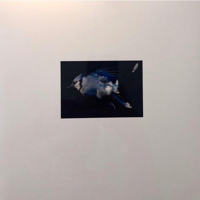 This is a proof print. signed and marked bat (for bon a tirer or good to print) This is a single print from 1998 Birds....