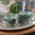 Absolutely lovely pair of antique Chinese export nesting hen mini tureens in the green family. A beautifully-matched pair...