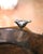 Vintage Jan Barboglio Hand-Carved Wood Bowl With Cast Iron Birds For Sale - Image 4 of 8