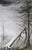 Storms Arriving in Red Feather by Lisa Lebofsky | Graphite and oil on aluminum Landscape with trees and stormy sky For Sale