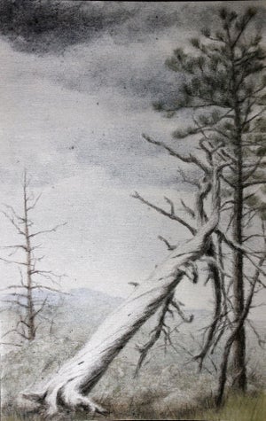 Storms Arriving in Red Feather by Lisa Lebofsky | Graphite and oil on aluminum Landscape with trees and stormy sky
