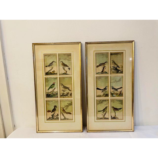Bird Illustrations, 1940s, Hand-Colored Lithographs, Framed, Set of 2 For Sale - Image 4 of 9