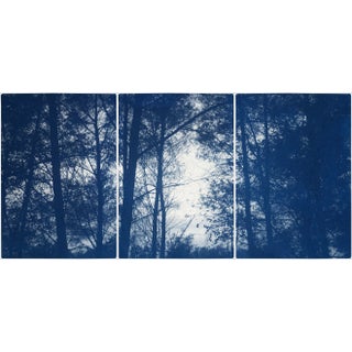 2021 "Forest Silhouette Sunset" Forest Landscape Cyanotype Triptych Print on Watercolor Paper - Set of 3 For Sale