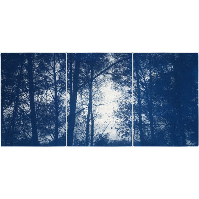 2021 "Forest Silhouette Sunset" Forest Landscape Cyanotype Triptych Print on Watercolor Paper - Set of 3 For Sale