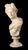 Mediterranean Alabaster Bust of Apollo, Italian 19th Century For Sale - Image 3 of 11
