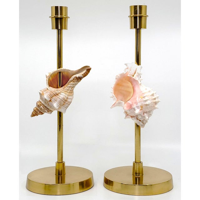 Brass Candlesticks Shells Seashells For Sale - Image 13 of 15