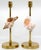 Brass Candlesticks Shells Seashells For Sale - Image 13 of 15