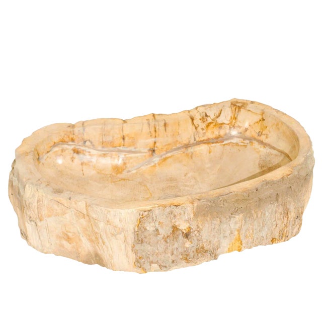 Organic Modern Petrified Wood Sink For Sale