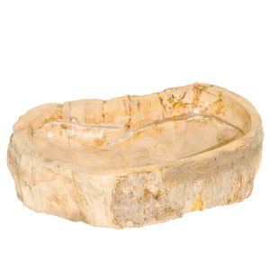 Organic Modern Petrified Wood Sink