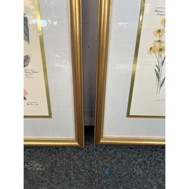 Mid Century Pair of Framed Audubon Bird & Flower Prints Signed Arthur Singer -2 For Sale - Image 9 of 10