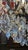 Mid 20th Century Antique Rococo Revival Chandelier, Metal & Crystal, France For Sale - Image 5 of 17