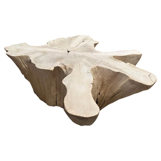 2010s Andrianna Shamaris Amorphous Bleached Teak Wood Coffee Table For Sale - Image 5 of 18