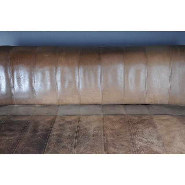 Brown DS44 3-Seater Sofa in Buffalo Leatherfrom de Sede, 1970s For Sale - Image 8 of 18
