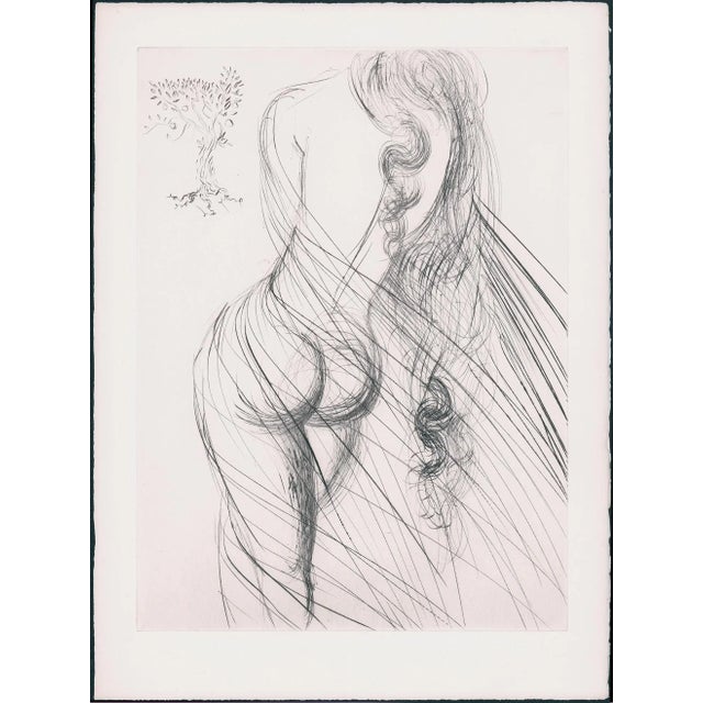 1960s Salvador Dali Etching From Les Amours De Cassandre Titled "Nue" For Sale In Atlanta - Image 6 of 6